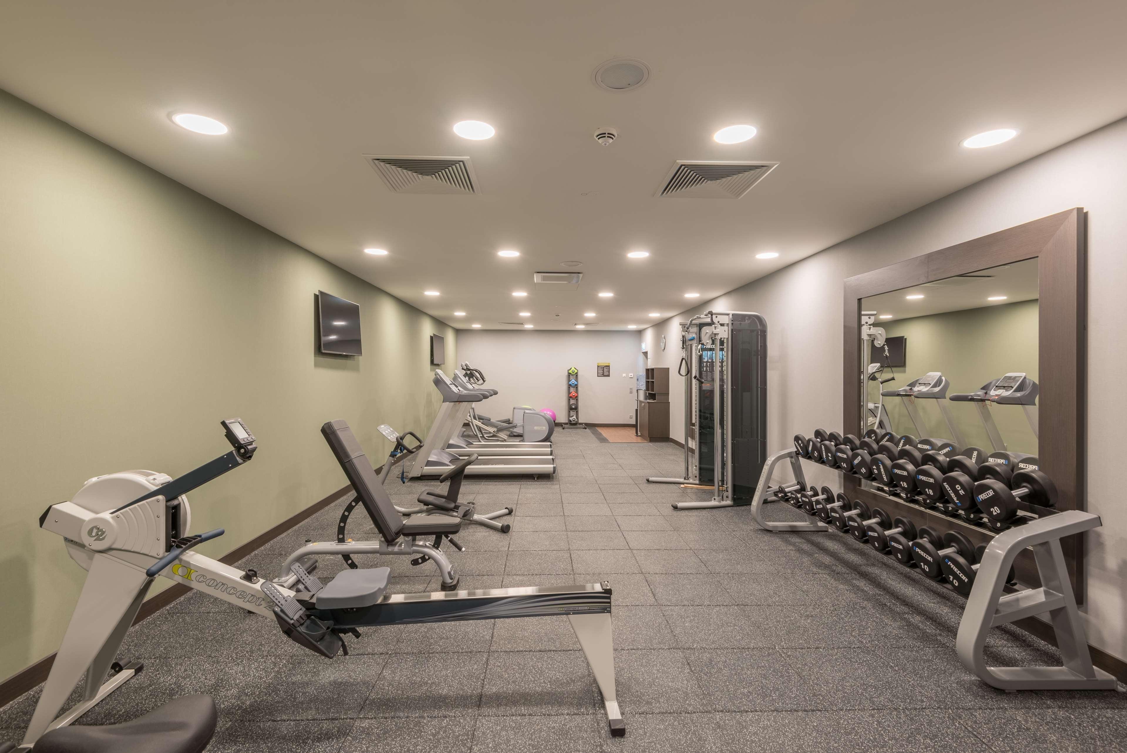פרנקפורט Hilton Garden Inn Frankfurt City Centre מראה חיצוני תמונה